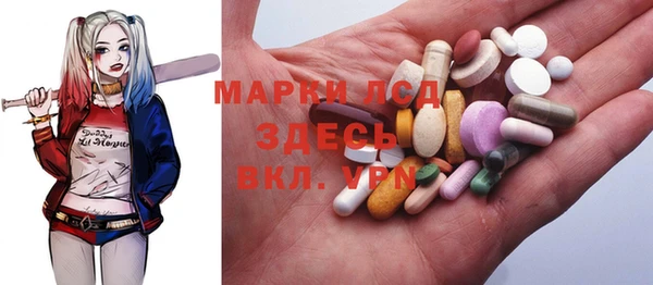 мдпв Богданович