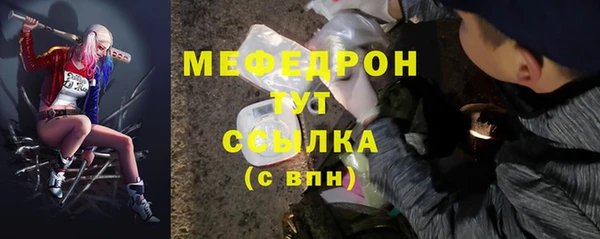 мдпв Богданович