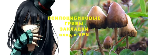 мдпв Богданович
