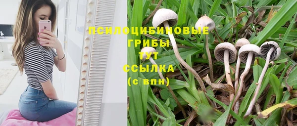 герыч Богородицк